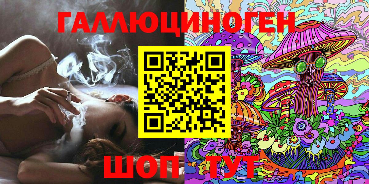 Псилоцибиновые грибы Psilocybine cubensis  Вход с VPN  Элиста  Псилоцибиновые грибы GOLDEN TEACHER 